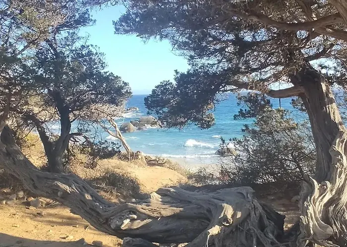 Vakantiehuis Sa Domu De Is Istellas *