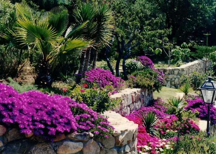 Sa Domu De Is Istellas * 维拉西米乌斯